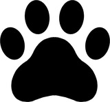 animal's paw