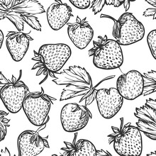 Hand-drawn Strawberry Tropical Seamless Pattern Vector Illustration With White Background. High-detail Strawberry Vector. Seamless Fruit Pattern