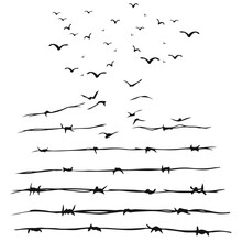 Wire Fence Breaks And Birds Fly Free, Black And White Drawing AI 10