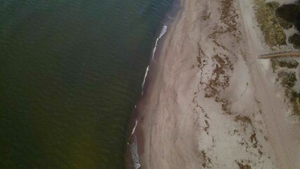 Wall Mural - Aerial view of trees sandy beach by the sea with cloudy sky on the horizon