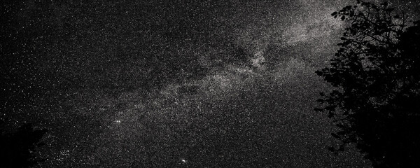 Wall Mural - Night sky - North with plenty of sparkling stars illuminated in the galaxy. Starry constellation and universe in dark pitch black sky. A beautiful background, screensaver or wallpaper