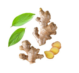 Wall Mural - Ginger with leaves Isolated on transparent png