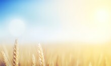  a close up of a wheat field with a blue sky in the background and a bright sun in the distance with a blurry lens.  generative ai