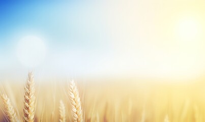  a close up of a wheat field with a blue sky in the background and a bright sun in the distance with a blurry lens.  generative ai