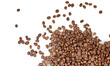 © David Kreuzberg - coffee beans isolated on transparent png