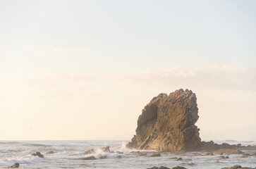 rock on the beach