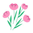 Vector illustration of pink tulips on isolated background. Flower spring bouquet