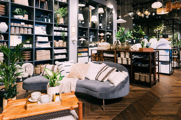 Wall Mural - Home accessories and household products in store of shopping centre. View of home accessories for living room in shop fashion retail store. Sofa with pillows, table with cups. Home plant in flower pot