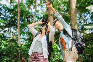 woman family walking in the forest to watching a bird in nature, using binocular for birding by looking on a tree, adventure travel activity in outdoor trekking lifestyle, searching wildlife in jungle