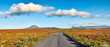 © SteenoWac/peopleimages.com - The wilderness of Cape Point National Park. Road through the wilderness of Cape Point National Park, Western Cape, South Africa.