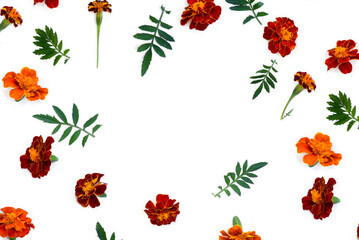 Wall Mural - marigold ( tagetes ) flowers on a white background with space for text. top view, flat lay