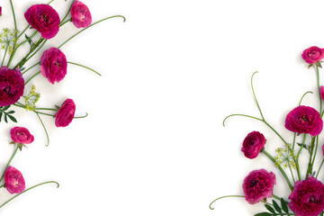 Wall Mural - Pink flowers buttercups on a white background with space for text. Top view, flat lay