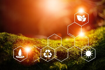 Wall Mural - plants background with chemistry structure image