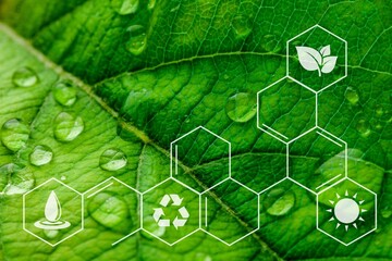 Wall Mural - plants background with chemistry structure image