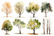 Watercolor trees collection. Set of hand drawn trees. Forest tree pack, generative AI