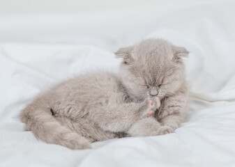 Aufkleber - Sleepy kitten washing and cleaning itself on a bed at home