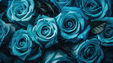 Sticker - Beautiful blue rose flowers, top view Generative AI
