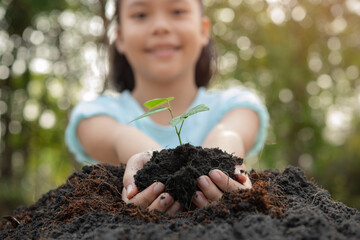 Wall Mural - .World environment day concept with girl holding small trees in both hands to plant in the ground. hand holding small tree for planting in forest. green world. morning light on nature background.