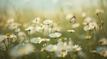 Background With Butterflies And Meadow Flowers. Spring Landscape Flowerfield With Daisies And Grass. Bokeh. Sunny Day. Ai