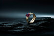 © Caia Image - Garnet Ring on slate background