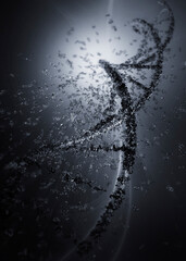 Digital DNA