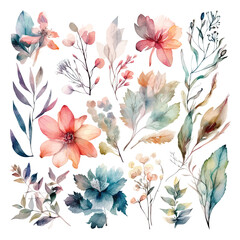 Wall Mural - Set of watercolor flowers leaves and twigs on a white background