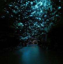Waitomo Glowworm Caves, Waikato, New Zealand North Island.