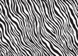 Zebra print pattern design. Vector illustration background.