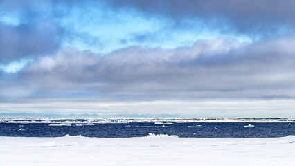 Wall Mural - the arctic sea near svalbard, with many icebergs towards the horizon and a summer blue sky with clou