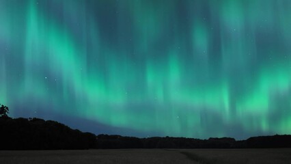 Wall Mural - Northern Lights (Aurora Borealis) covering the star filled sky above a big field surrounded by trees. Time Lapse.
