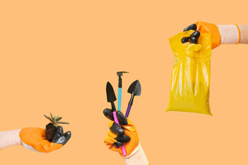 Wall Mural - Hands in gardening gloves with plant, gardening tools and bag of soil on color background. Minimalist landing plants