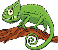 Chameleon Cartoon Colored Clipart Illustration