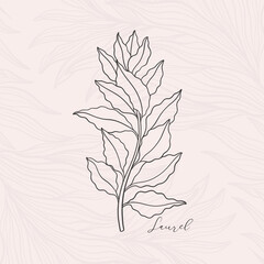 Wall Mural - Floral branch laurel in art nouveau 1920-1930. Hand drawn in a linear style with weaves of lines, leaves and flowers.