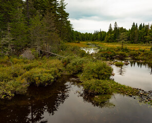 Sticker - Small creek and pools of water in Maine