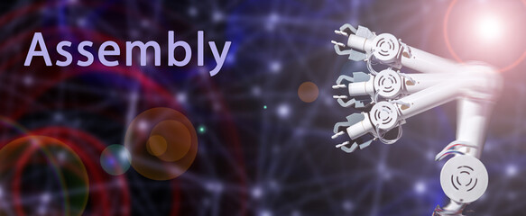 Wall Mural - assembly a low-level programming language used to directly control computer hardware and create high