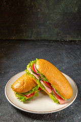 Wall Mural - Vertical view of delicious homemade sandwiches on a white plate on black distressed background with free space