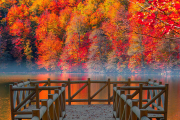 Poster - Autumn forest landscape reflection on the water with - Autumn landscape in (seven lakes) National park of  Yedigoller, Bolu 