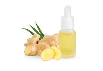 Poster - Fresh ginger root on white background for herb and medical product concept