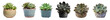 Group of succulent potted plants. Isolated on transparent background. Created using Generative AI.