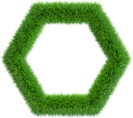 Wall Mural - Grass frame in form of hexagon. 3D rendering illustration.