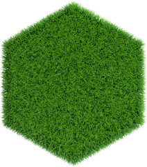 Wall Mural - Patch of grass in form of hexagon. 3D rendering illustration.