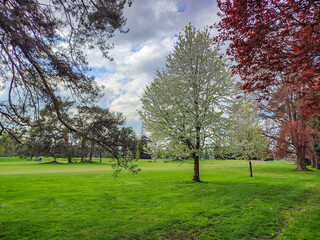 Terrain de golf de Vichy dans l'Allier dans le Centre de la France