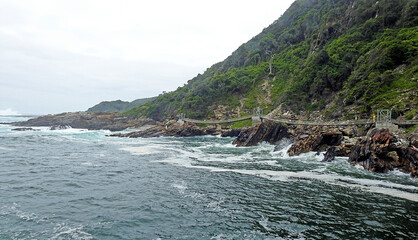 Wall Mural - Suspension Bridge National Park, Tsitsikamma National Park, South Africa