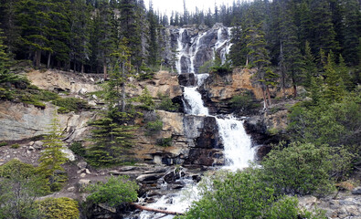 Canvas Print - Tangle Falls, Jasper, Alberta, Canada