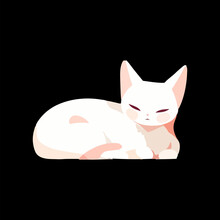 Cute White Cat Having A Nap, Snugly Curled Up Isolated On A Black Background