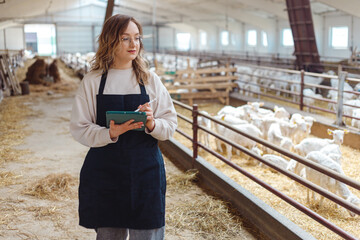 Young pretty woman using tablet device and walking in farm stable. Going inside shed with livestock