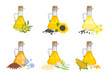 Set of different cooking oils in glass bottles, seeds and plants. Vector cartoon illustration of corn, linseed, sunflower, olive, sesame and rapeseed oil.