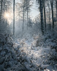 Poster - Scenic winter landscape featuring trees and bushes blanketed in a coating of pristine snow