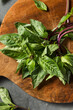 © Brent Hofacker - Raw Green Organic Thai Holy Basil