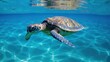  a turtle swimming in the ocean with a person in the background.  generative ai